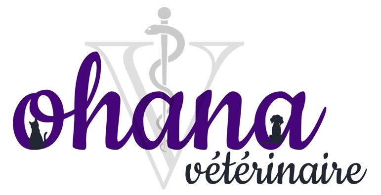 Ohana Vétérinaire